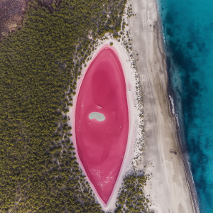 Danau pink di Australia Barat